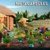 MetaCapsules