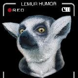 Lemur humor