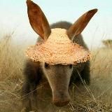 AARDVARK