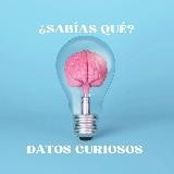 💡🤔¿Sabías qué? Datos Curiosos