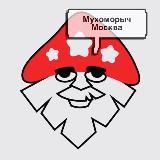 МухоморыЧ Москва