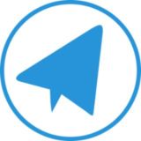 WP Telegram Chat