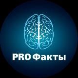 PRO Факты