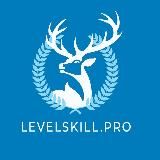 LEVEL SKILL PRO старт❗️12.11.2024❗️