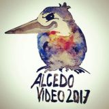 Alcedo Video Fan