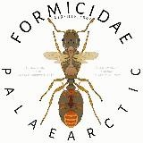 Муравьи Палеарктики | Formicidae | Hymenoptera