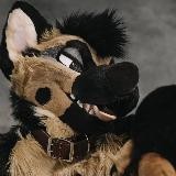 MixedCandy Fursuit Updates