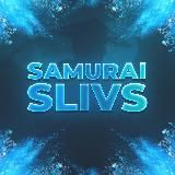 Samurai Slivs l Сливы курсов ЕГЭ 2022