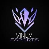 FIDAIN ESPORTS