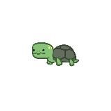 🐢everyday turtle🐢