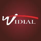 Vidial оптика