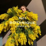 botanique no1