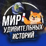 Мир удивительных историй