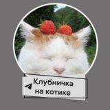 "Клубничка на Котике"