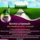 Sunnah Revival