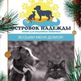 ГДЕ МОЖНО ОТДОХНУТЬ и ЧЕМ ЗАНЯТЬСЯ В СПБ, ЛО и ближайших окрестностях 😉