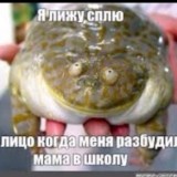 фулл с писькой шибари