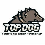 TOP DOG MUSIC / Музончик от Игоряна