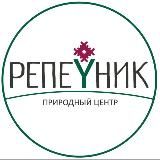 🍃РЕПЕЙНИК🍃