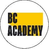 Школа BС Academy