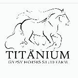 Libontova 🍀 Titanium Stud Farm