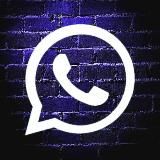 WhatsApp Video