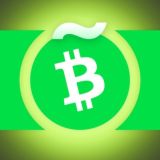 Bitcoin CASH en Español