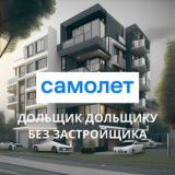 Самолет Дольщики