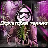 Директория Торчка