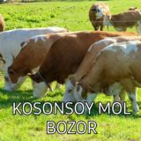 🐑 Kosonsoy Mol bozor 🐄