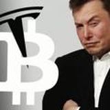 ElonMusk ₿ CRYPTO SIGNAL