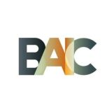 Official BAIC Group