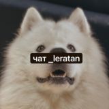 Чат _leratan