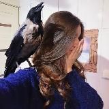 Julia Ornitolog | Лечение птиц
