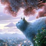 Cherry Blossom | Новости игр
