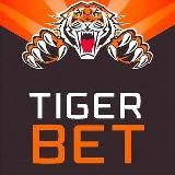 TIGER BET - Ставки на спортивные события