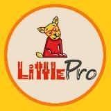 LittlePro Инфо канал|Детский центр