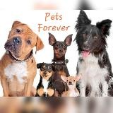 Pets Forever