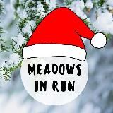 Meadows In Run