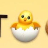 Цыплята 🐣