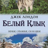 Белый клык