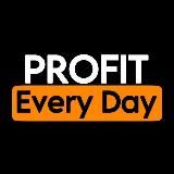 PROFIT Every Day