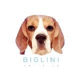 Biglini Workshop