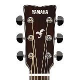 Yamaha Guitars🎸