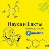 Наука и Факты🌏