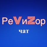 Ревизор Chat