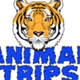 Доставка животных Animal Trips