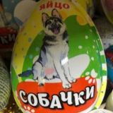 Яйцо собачки