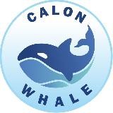 Calon Whale Channel