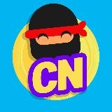 Canal Ninja